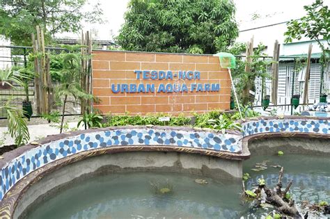 TESDA inaugurates its first urban Aqua Farm .
